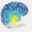 brainlifescience.com
