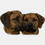pawzitivelypolite.com