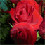 atablelesgourmands.over-blog.com