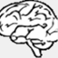 tourdebrain.wordpress.com
