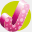 jinco.com.ua