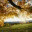 highlandbeyond.wordpress.com