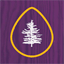 capecodcollegiate.com
