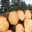 holz-blockhaus-collier.de