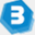 borui.org