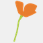 vinetrail.org