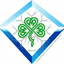 iisaireland.ie