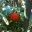 foodiephd.wordpress.com