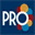 pro.org.py