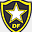 botafogodf.com