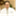 thebrainpro.wordpress.com