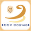 bsv-coswig.de