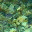 thisembodiedcondition.wordpress.com