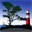 blackwebdesign.nl
