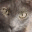 dmkay.com