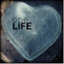 wonlife.wordpress.com