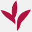 delphy.nl
