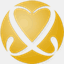 vyssilver.com