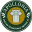 apollorootcause.com