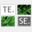 tese.it