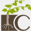 conceptloft.com