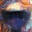 chriscoroner.wordpress.com