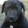skred.wordpress.com