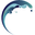 breakingwavesintl.com