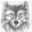 wolfmoon.info