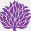 buecher.llux.de