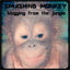 smashingmonkey.com