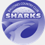 sharks.swimtopia.com