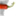 digitalchili.org