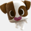 animarsh.com
