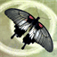 nanodrones.com