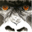 silverbacksinc.com