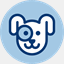 jiaopeng.com