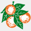 ircrecycles.com