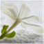 shivarlin.wordpress.com