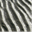 silentsafari.com