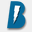 bisniser.com