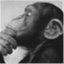 onkeymonkey.wordpress.com