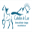 caballosdeluz.com