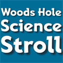 woodsholesciencestroll.org