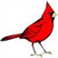 cardinalcarts.com