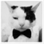 iamadandycat.wordpress.com