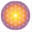prsinstitute.org