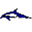 web-dolphin.ru