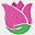 easytogrowbulbs.com