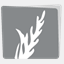 silversagebuildingco.com